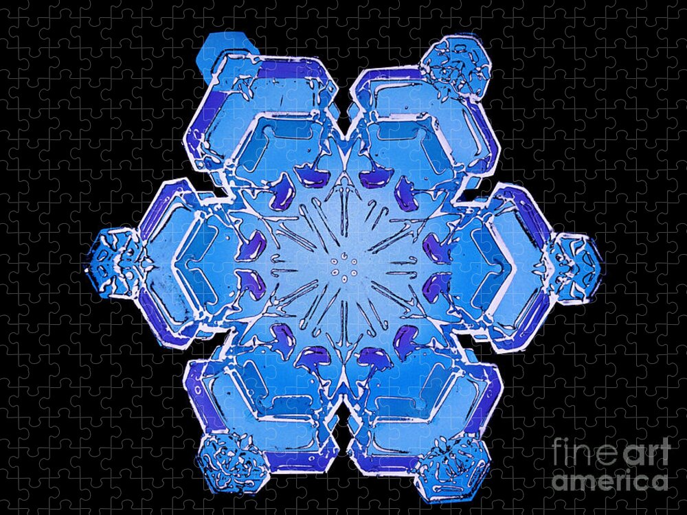 Science Jigsaw Puzzle featuring the photograph Snowflake From A Resin Cast by Science Source