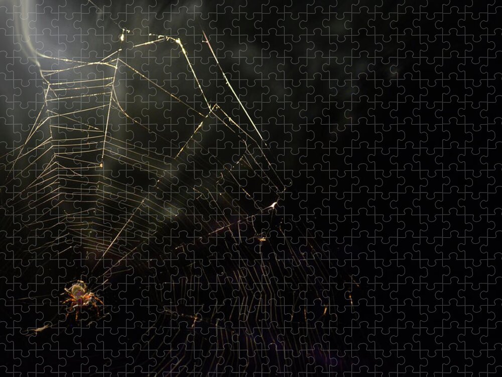 Spider Jigsaw Puzzle featuring the photograph Spider by La Dolce Vita