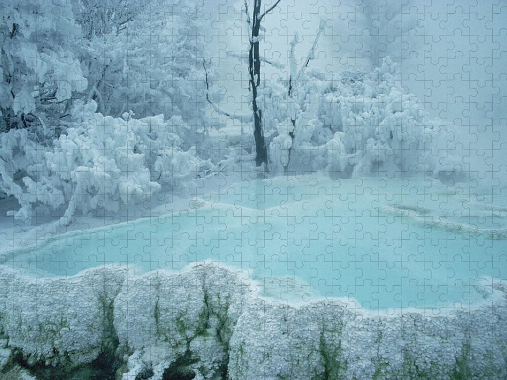 Mp Jigsaw Puzzle featuring the photograph Steaming Pool At Mammoth Hot Springs by Michael Quinton