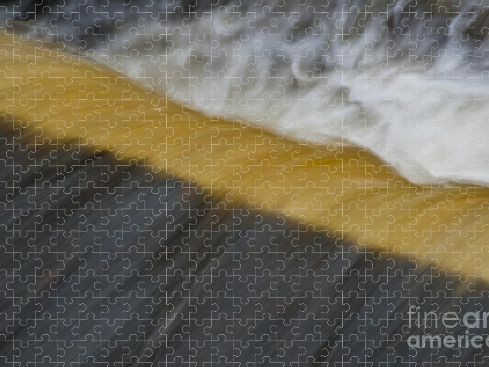 River Jigsaw Puzzle featuring the photograph Step in the River by Heiko Koehrer-Wagner