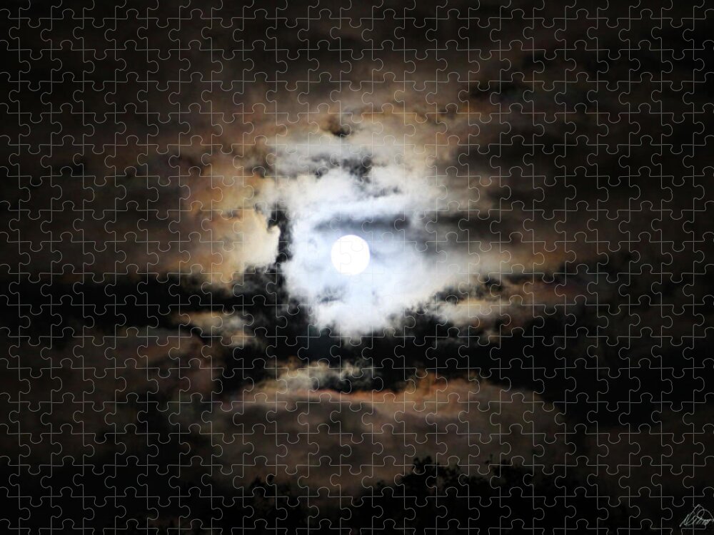 Full Moon Jigsaw Puzzle featuring the photograph Stormy Moon by Diana Haronis