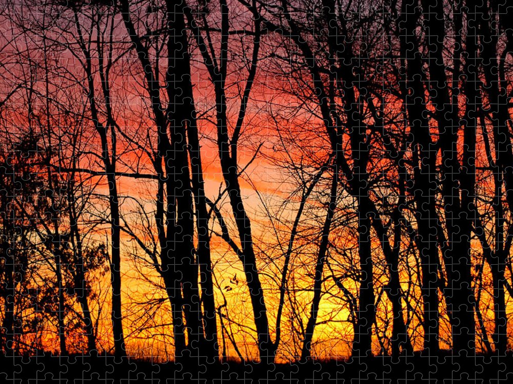 Usa Jigsaw Puzzle featuring the photograph Sun Set of Fire by LeeAnn McLaneGoetz McLaneGoetzStudioLLCcom