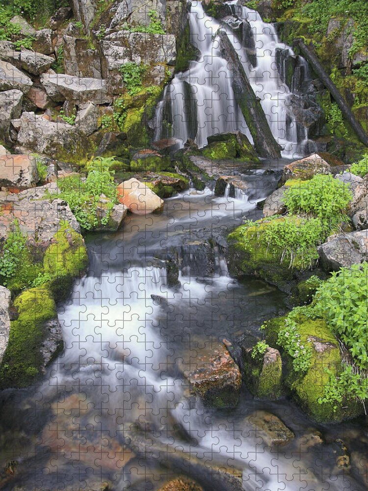 Stream Jigsaw Puzzle featuring the photograph Sunbeam Creek by Winston Rockwell