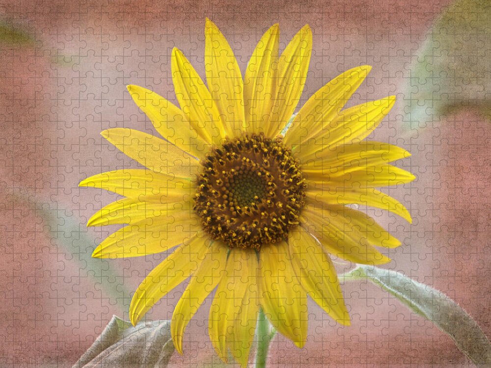 Sunflower Jigsaw Puzzle featuring the photograph Sunflower Warmth by Sandi OReilly