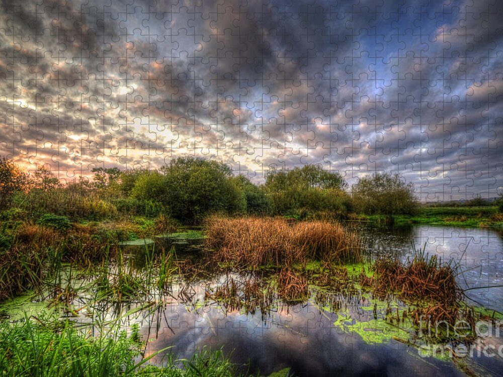 Hdr Jigsaw Puzzle featuring the photograph Swampy by Yhun Suarez