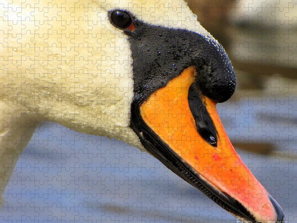 Swan Jigsaw Puzzle featuring the photograph Swan Songs by Lori Lafargue