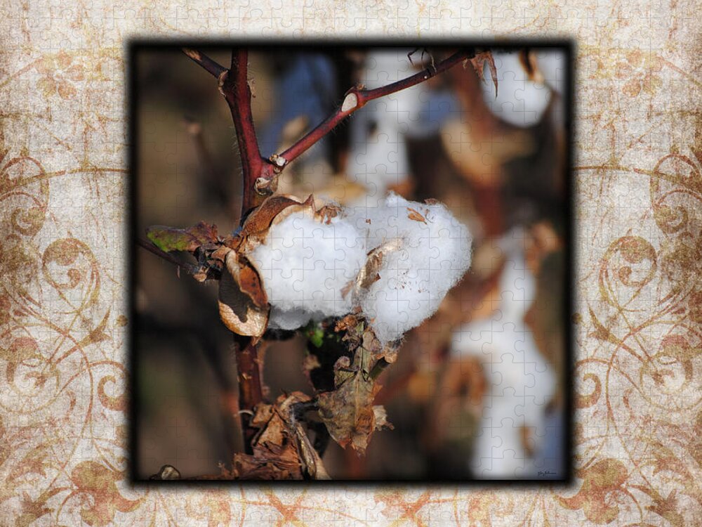 Brown Jigsaw Puzzle featuring the photograph Tennessee Cotton I Photo Square by Jai Johnson