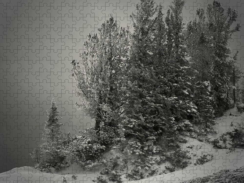 Snow Jigsaw Puzzle featuring the photograph tenThousand feet of silence by Mark Ross