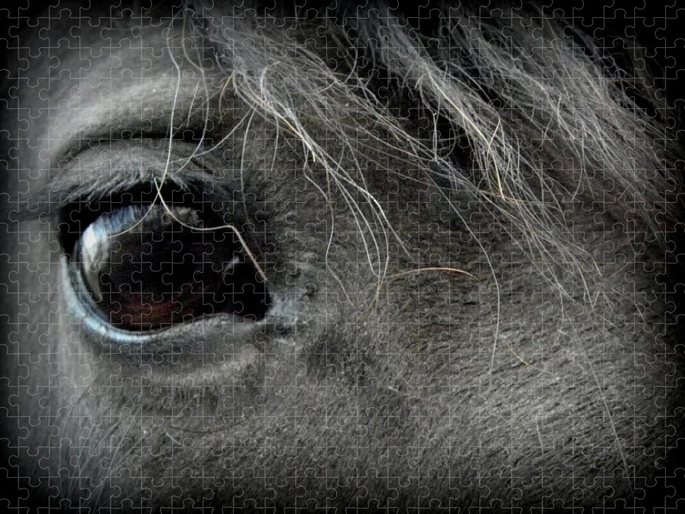 Friesian Jigsaw Puzzle featuring the photograph The Beautiful Eye of Gracie by Kim Galluzzo