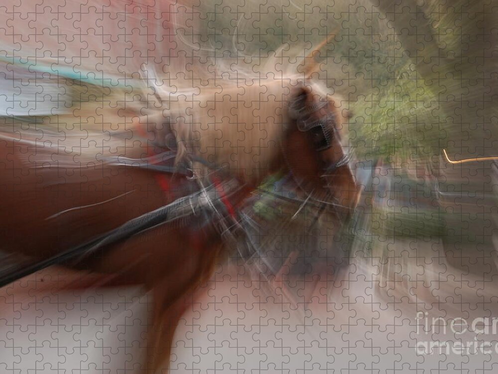 Horse Jigsaw Puzzle featuring the photograph The Horse by Randy J Heath