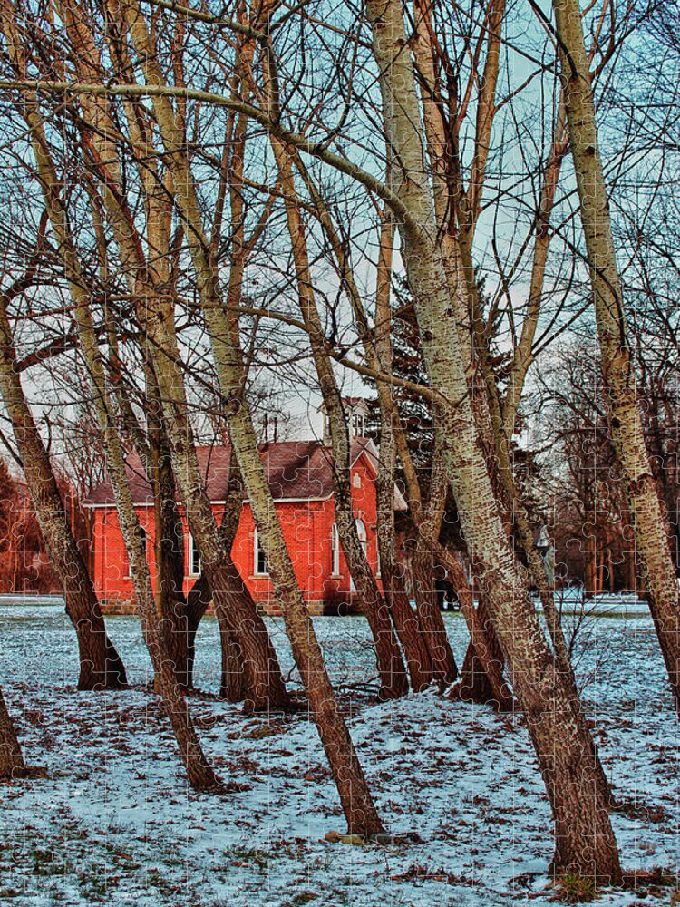 Leaning Trees Jigsaw Puzzle featuring the photograph The Leaning by Rachel Cohen