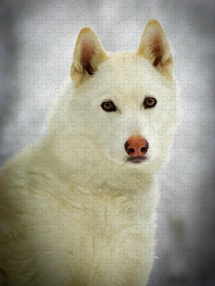 Husky Jigsaw Puzzle featuring the photograph The Stare by Joye Ardyn Durham