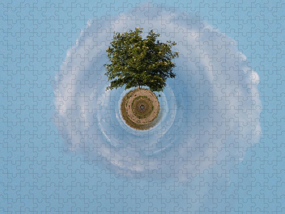 Gulf Of Bothnia Jigsaw Puzzle featuring the photograph The Tree of Life by Jouko Lehto