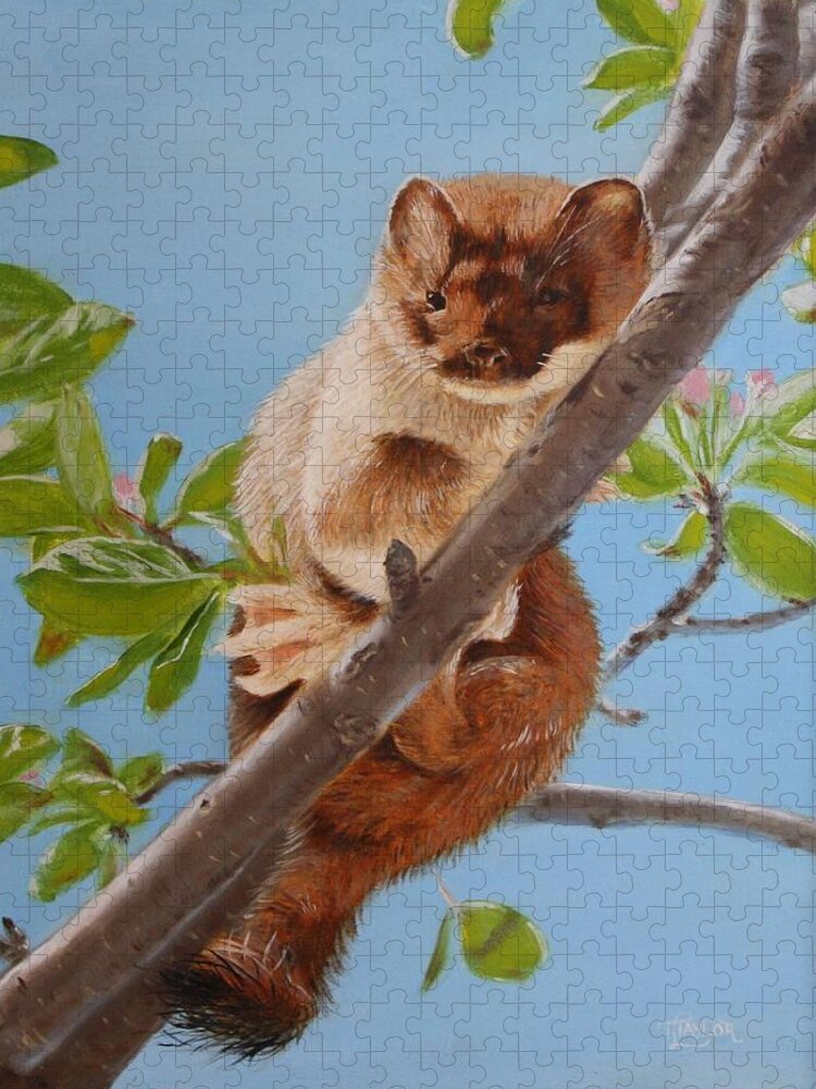 Weasel Jigsaw Puzzle featuring the painting The Weasel by Tammy Taylor