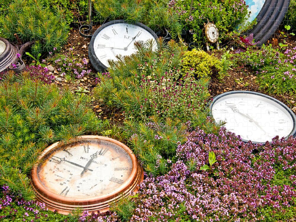 Thyme Jigsaw Puzzle featuring the photograph Thyme and Time by Chris Thaxter