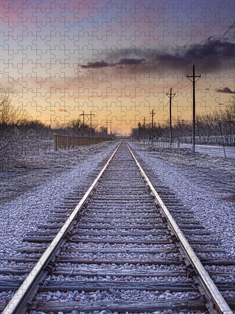 Train Jigsaw Puzzle featuring the photograph Train Tracks and Color by James BO Insogna
