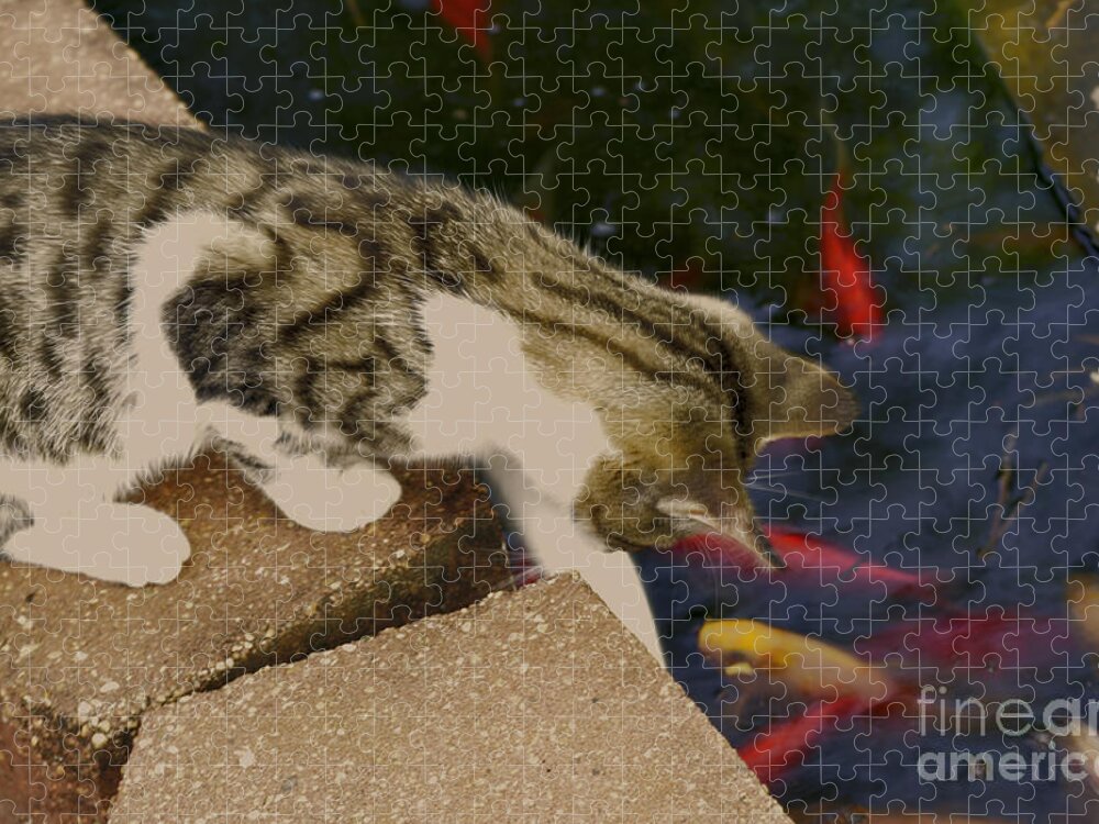 Animal Jigsaw Puzzle featuring the photograph Trying To Catch The Fish by Donna Brown