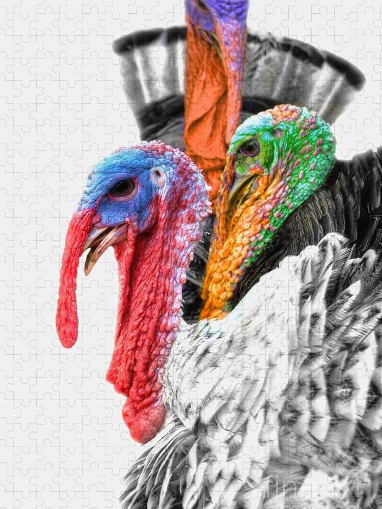 Yhun Suarez Jigsaw Puzzle featuring the photograph Turkeys Delight by Yhun Suarez