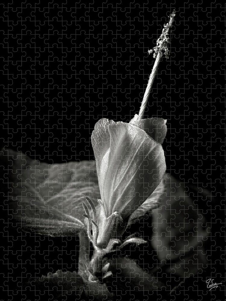 Flower Jigsaw Puzzle featuring the photograph Turk's Cap in Black and White by Endre Balogh