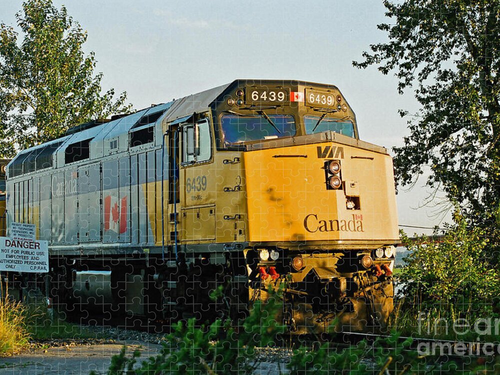 Trains Jigsaw Puzzle featuring the photograph Via Rail Engine by Randy Harris
