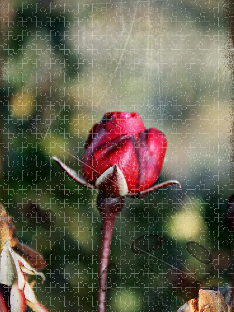 Rose Jigsaw Puzzle featuring the photograph Vintage Winter Rose by KayeCee Spain