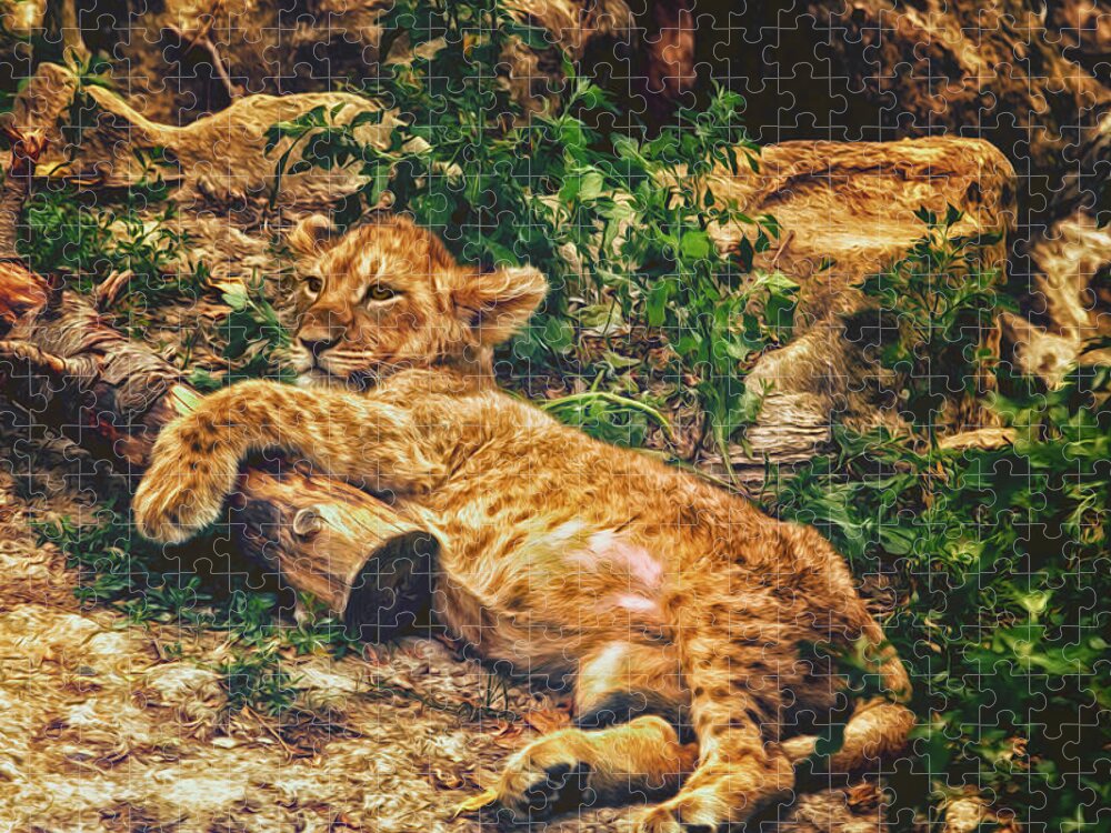 Zoo Jigsaw Puzzle featuring the photograph Warm Kitty Soft Kitty by Bill and Linda Tiepelman