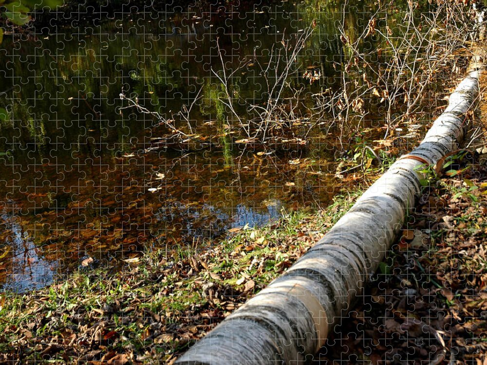 Usa Jigsaw Puzzle featuring the photograph Water seeing by LeeAnn McLaneGoetz McLaneGoetzStudioLLCcom