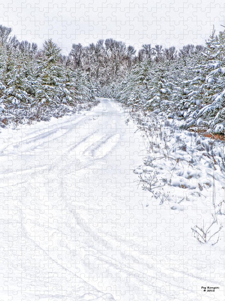 Snowy Road Jigsaw Puzzle featuring the photograph Where I Live by Peg Runyan