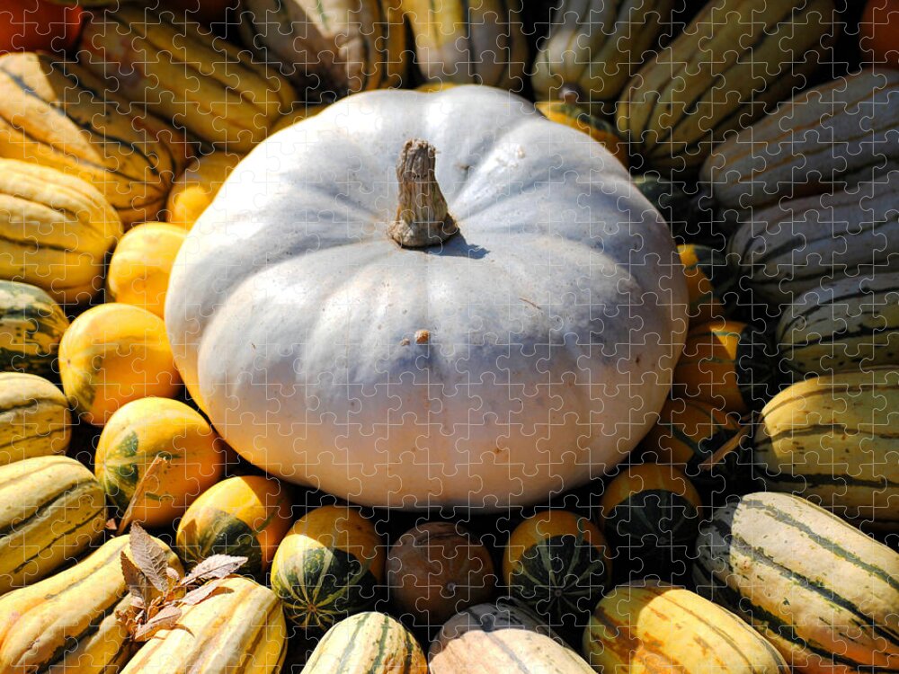 Autumn Jigsaw Puzzle featuring the photograph White Pumpkin by Jai Johnson