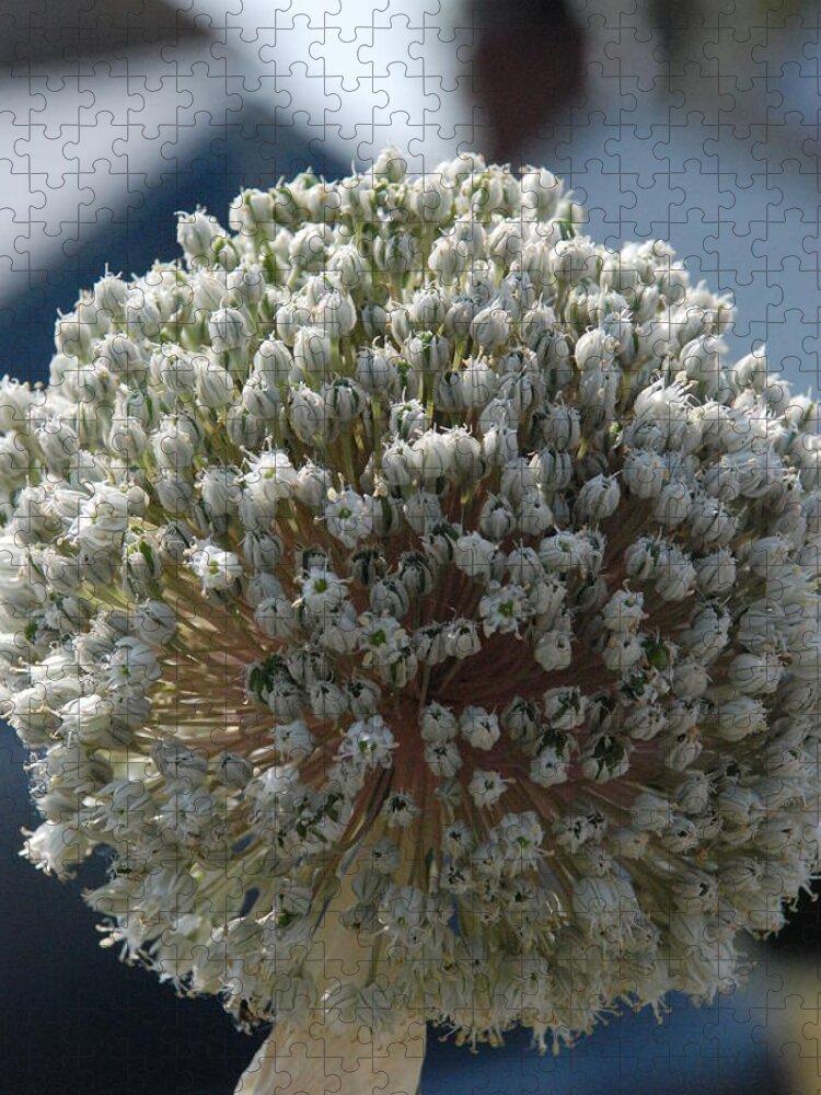 Sphere Jigsaw Puzzle featuring the photograph White Sphere by Carol Eliassen