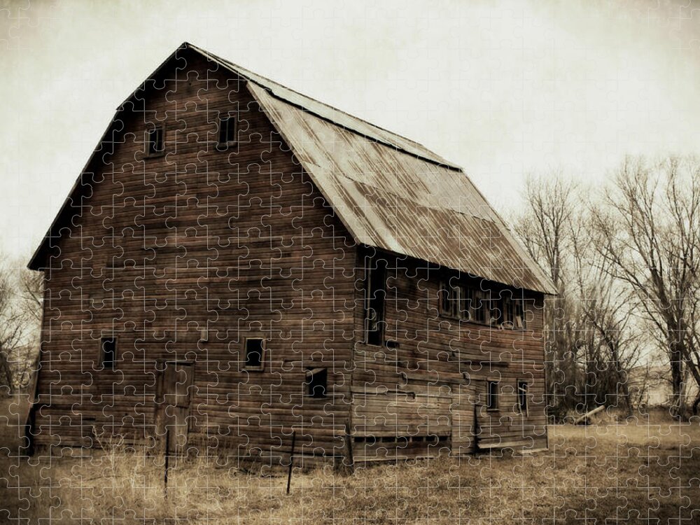 Barn Jigsaw Puzzle featuring the photograph Windows2 by Julie Hamilton