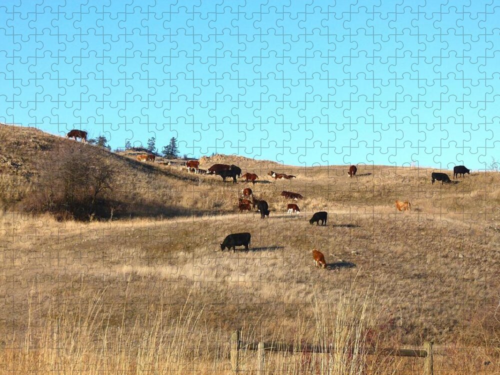 Winter Jigsaw Puzzle featuring the photograph Winter Grazing by Will Borden