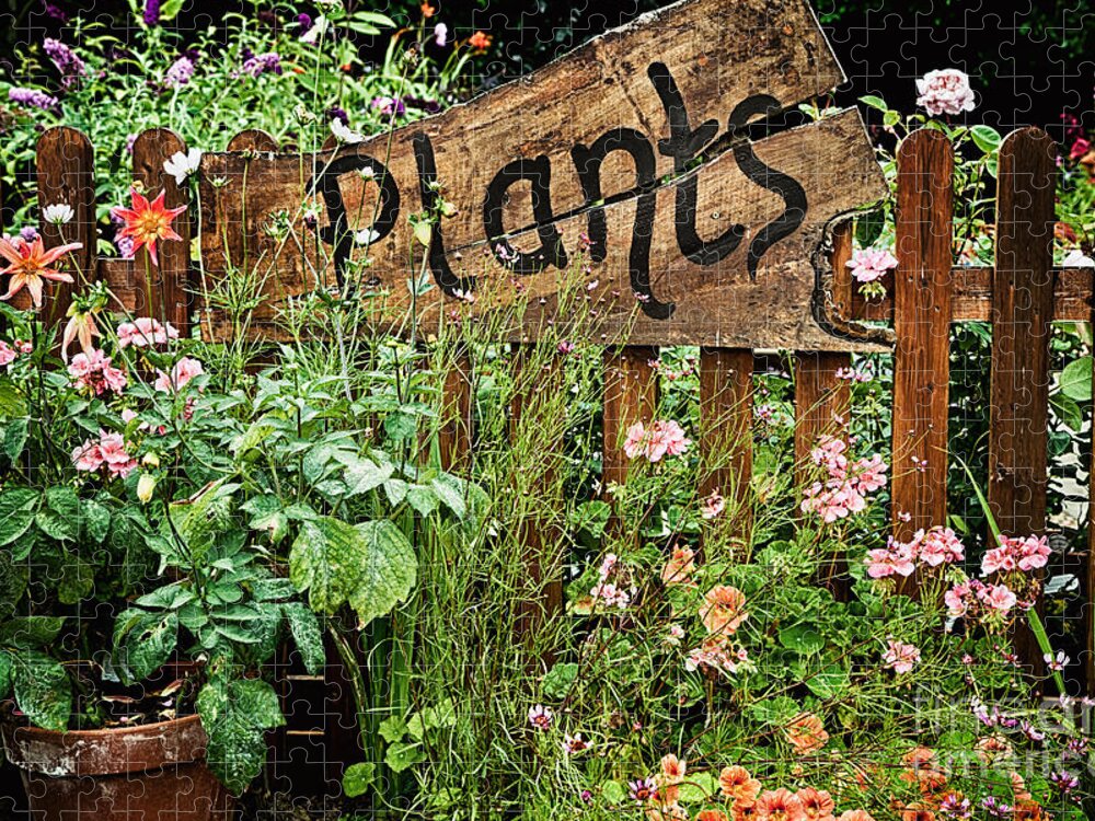 Plants Jigsaw Puzzle featuring the photograph Wooden plant sign in flowers by Simon Bratt