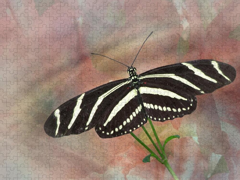 Zebra Jigsaw Puzzle featuring the photograph Zebra Longwing Butterfly-3 by Rudy Umans