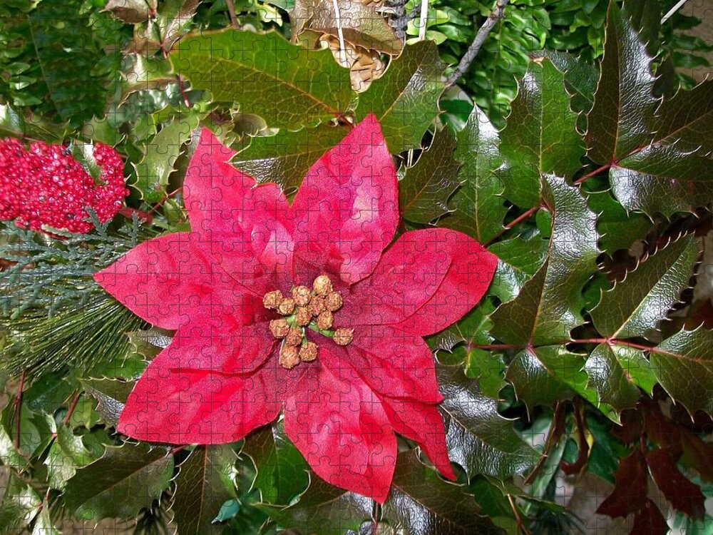 Oregon Jigsaw Puzzle featuring the photograph Christmas Poinsettia by Sharon Duguay