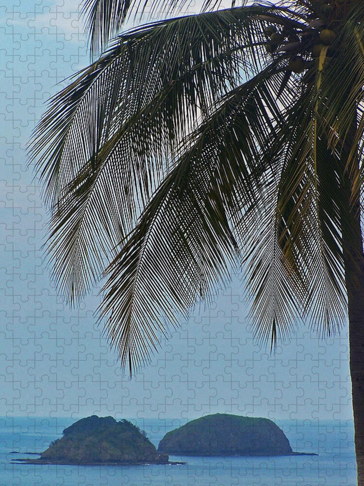 Palm Trees Jigsaw Puzzle featuring the photograph Islands Under the Palm by Jennifer Robin