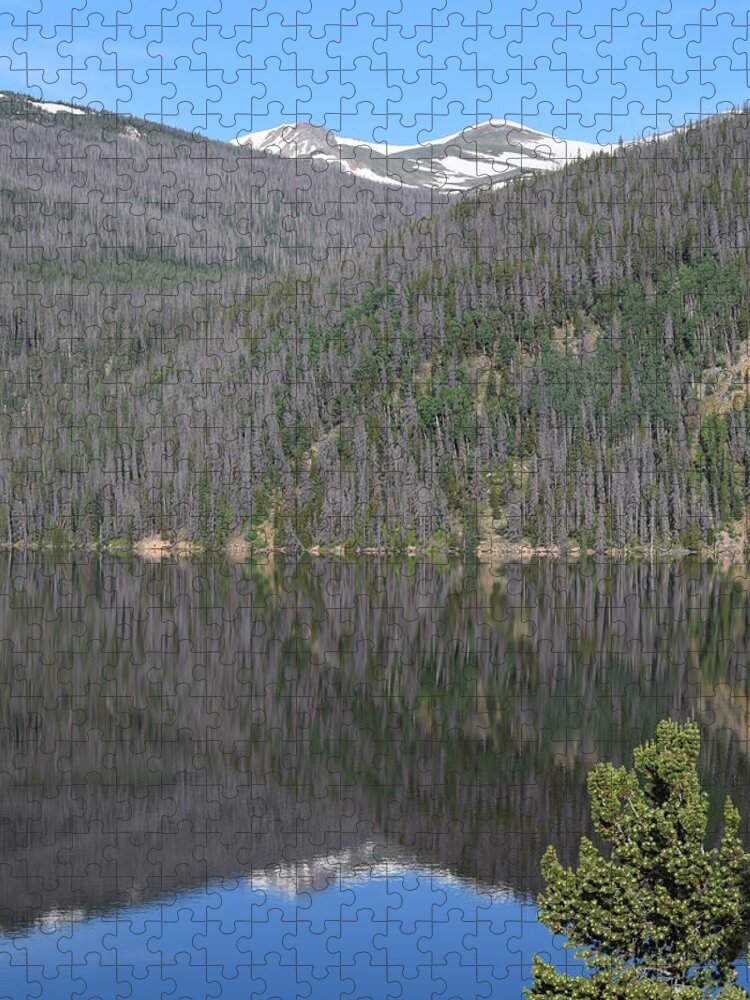 Mountains Jigsaw Puzzle featuring the photograph Chambers Lake Reflection Hwy 14 CO by Margarethe Binkley