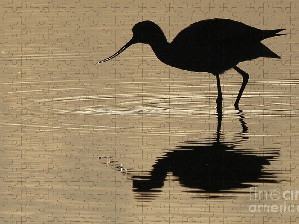 American Avocet Jigsaw Puzzle featuring the photograph American Avocet #2 by Meg Rousher