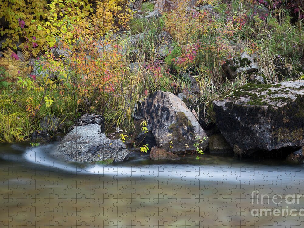 Coeur D'alene National Forest Jigsaw Puzzle featuring the photograph Autumn Flow #1 by Idaho Scenic Images Linda Lantzy