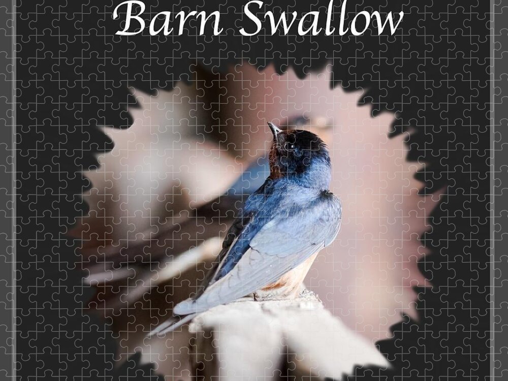 Barn Swallow Jigsaw Puzzle featuring the photograph Barn Swallow #1 by Holden The Moment