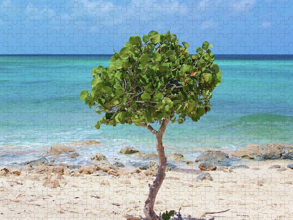 Photo For Sale Jigsaw Puzzle featuring the photograph Beach Tree #1 by Robert Wilder Jr