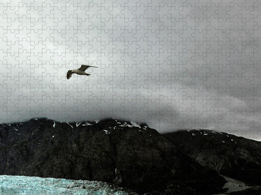 Alaska Jigsaw Puzzle featuring the photograph Bird Over Glacier - Alaska #2 by Madeline Ellis