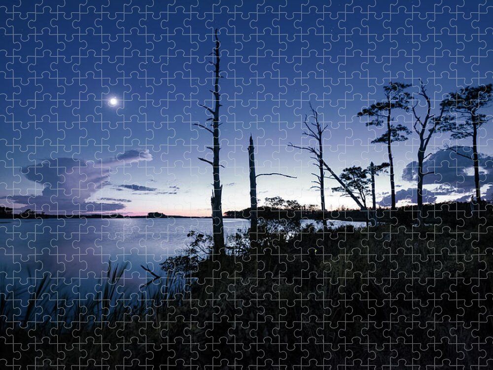 Maryland Jigsaw Puzzle featuring the photograph Blackwater Blues #1 by Robert Fawcett