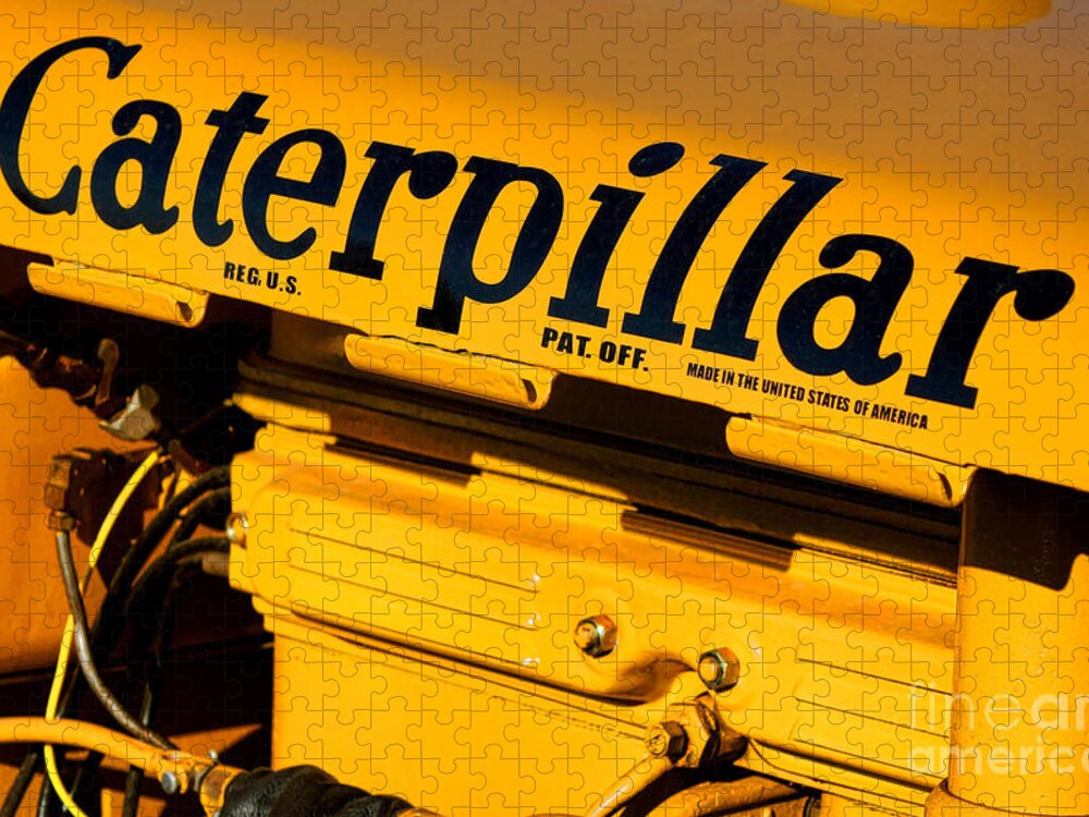 Caterpillar Jigsaw Puzzle featuring the photograph Caterpillar #1 by Olivier Le Queinec