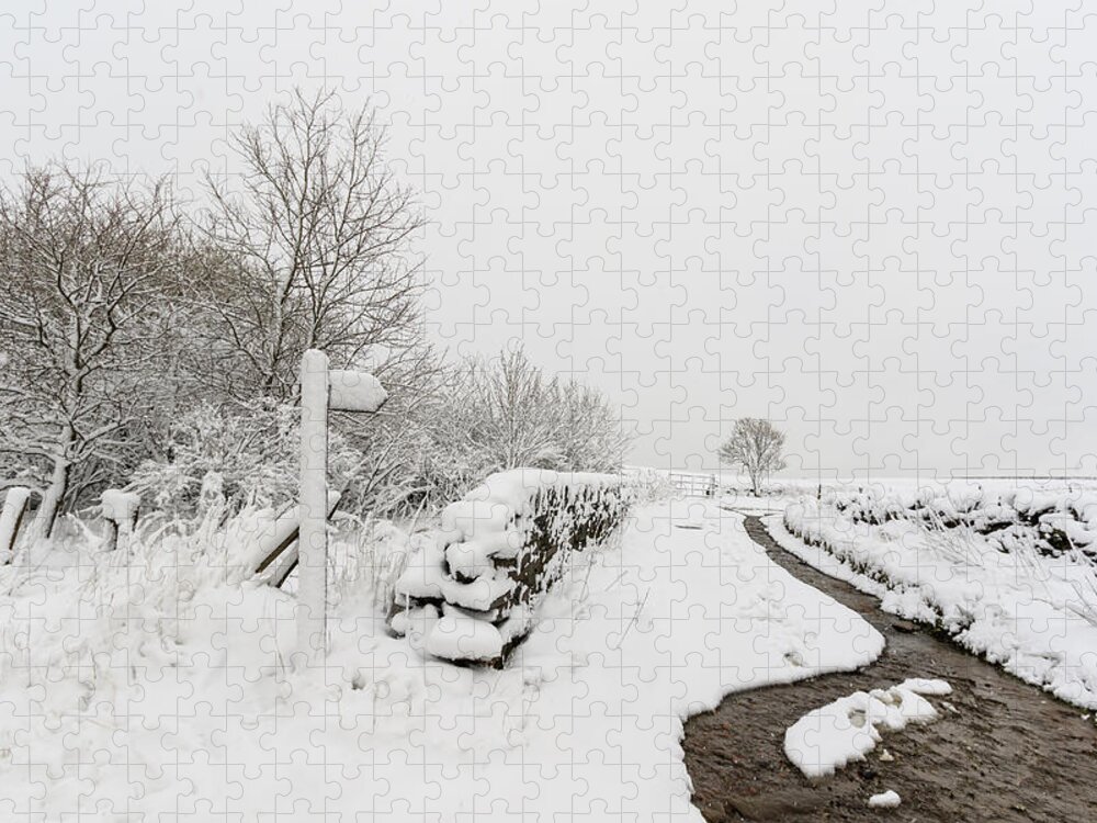 Snow Jigsaw Puzzle featuring the photograph Countryside lane #1 by Chris Smith