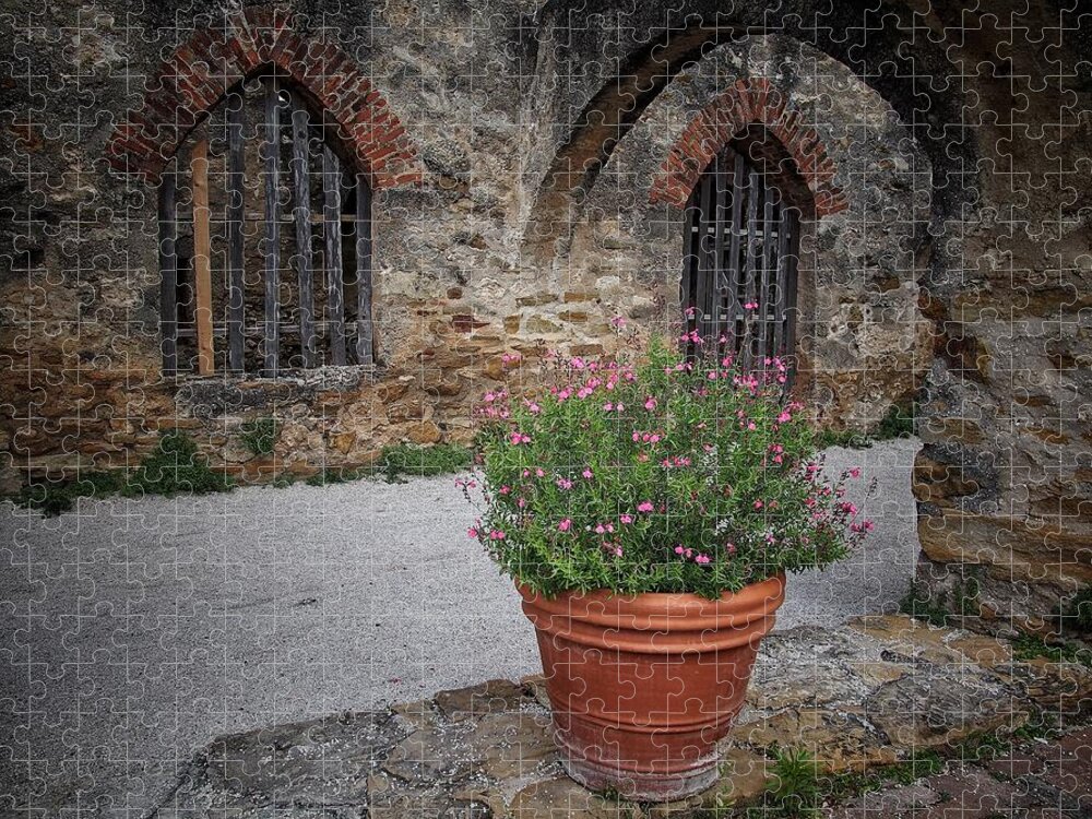 Courtyard Jigsaw Puzzle featuring the photograph Courtyard Flowers #1 by Buck Buchanan