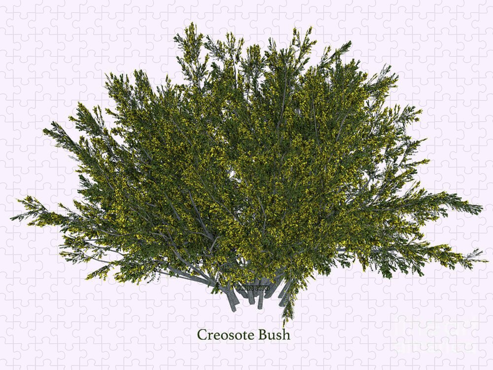 3d Illustration Jigsaw Puzzle featuring the digital art Creosote Bush #2 by Corey Ford