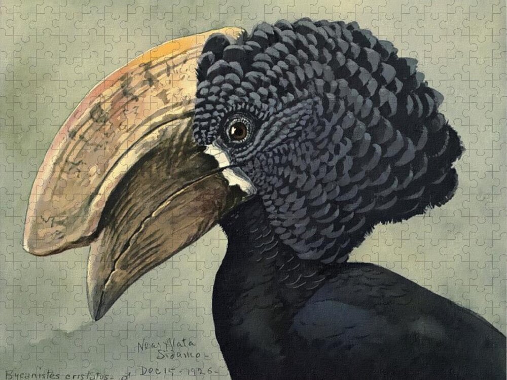 Louis Agassiz Fuertes Jigsaw Puzzle featuring the painting Crested Hornbill #1 by Louis Agassiz Fuertes