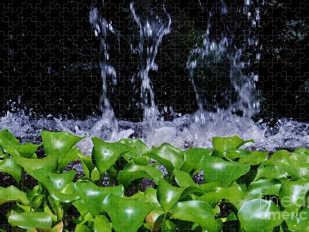 Water Jigsaw Puzzle featuring the photograph Dancing Water #1 by Craig Wood
