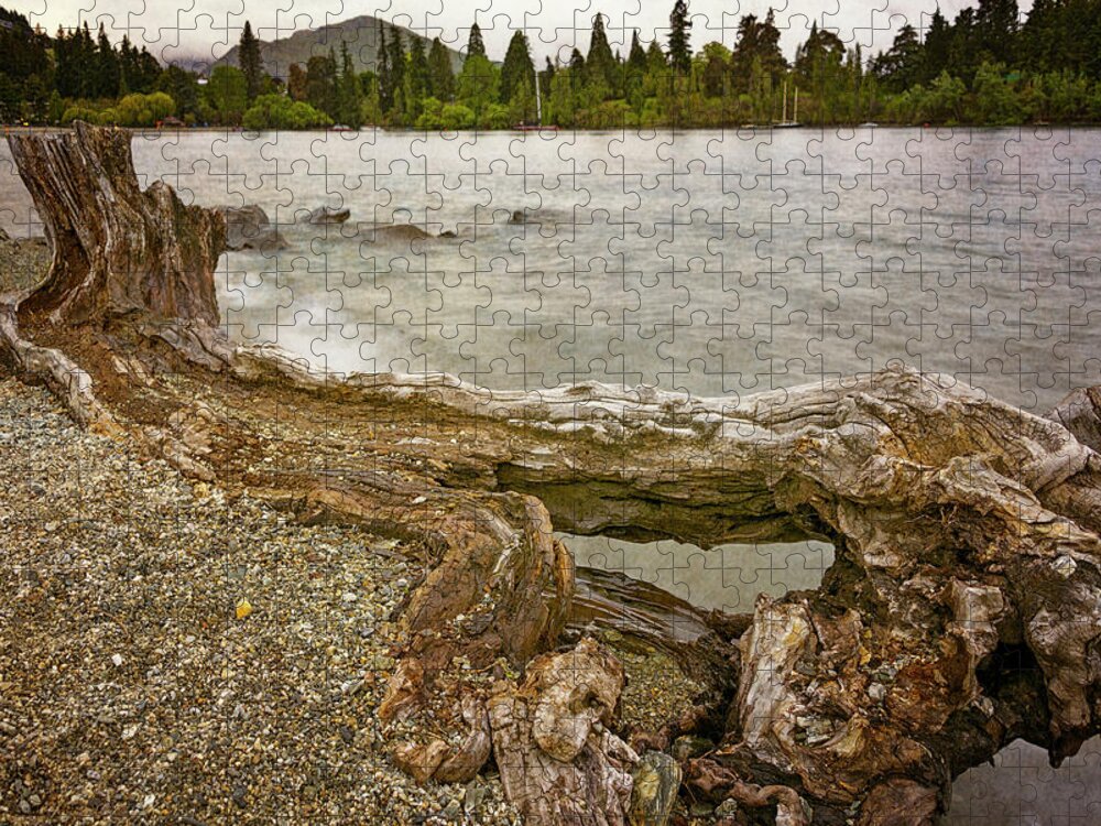 Joan Carroll Jigsaw Puzzle featuring the photograph Lakeside Driftwood by Joan Carroll